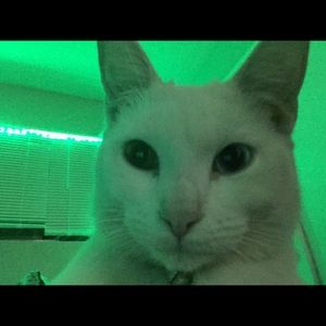 Meet your Posher, Ruby